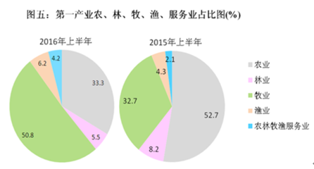 上半年株洲農業經濟穩中有進_株洲新聞網_觸屏版